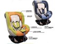 California Bear Cocoon Carseat